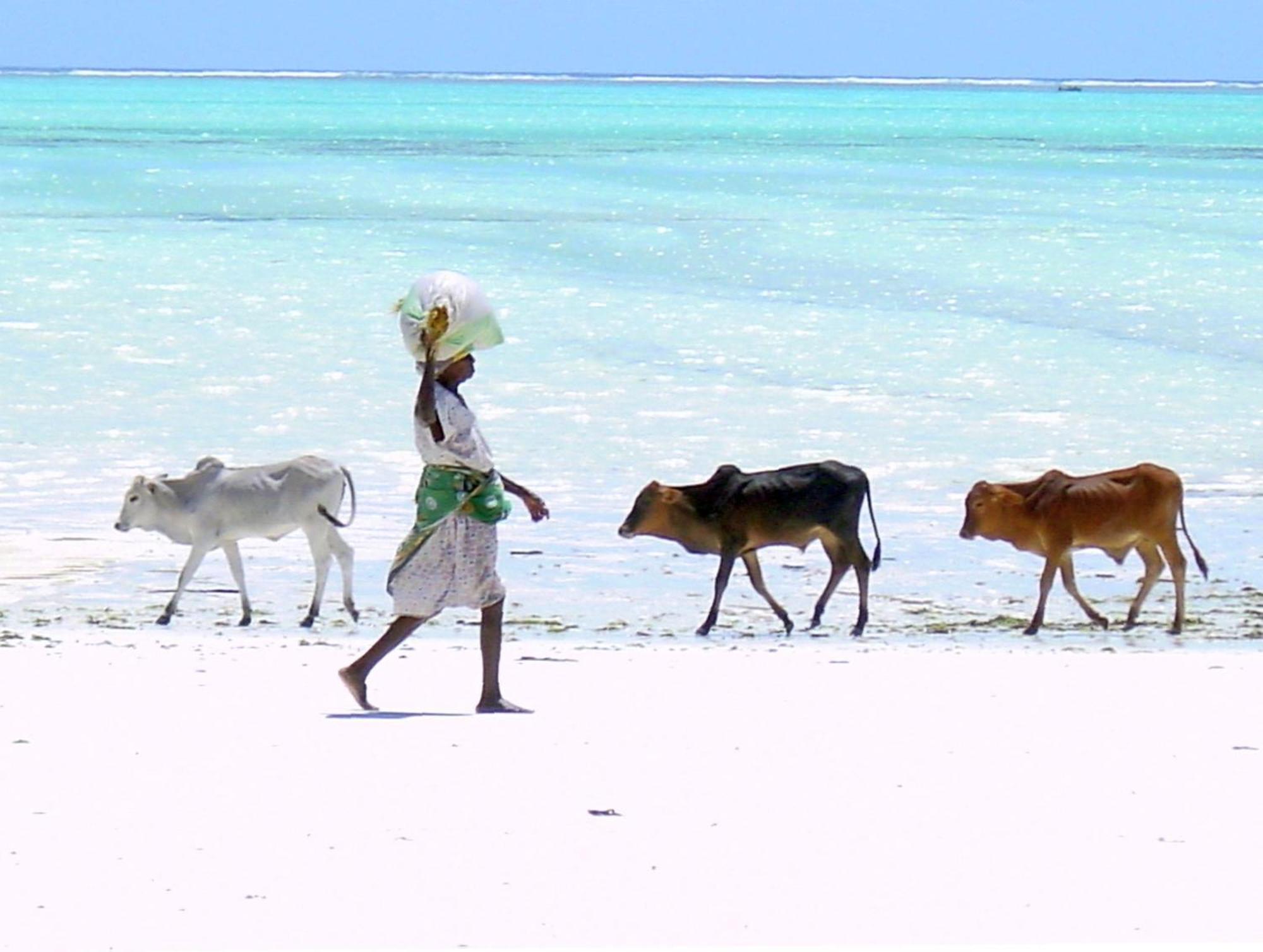 גאמביאני Villa Bahati Zanzibar מראה חיצוני תמונה